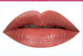 BOLVER SHINE LIPSTICK (7 Colors) - Pinky Cosmetics