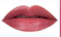 BOLVER SHINE LIPSTICK (7 Colors) - Pinky Cosmetics