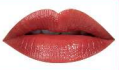 BOLVER SHINE LIPSTICK (7 Colors) - Pinky Cosmetics