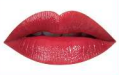 BOLVER SHINE LIPSTICK (7 Colors) - Pinky Cosmetics