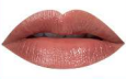BOLVER SHINE LIPSTICK (7 Colors) - Pinky Cosmetics
