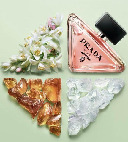 Prada Paradoxe Eau de Parfum for Women - Women's Perfume - Prada -- United Arab Emirates -- Pinky Cosmetics