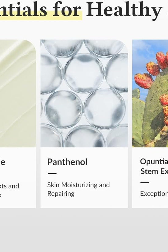 Dr. Althea skincare duo featuring Niacinamide and Panthenol for healthy skin essentials