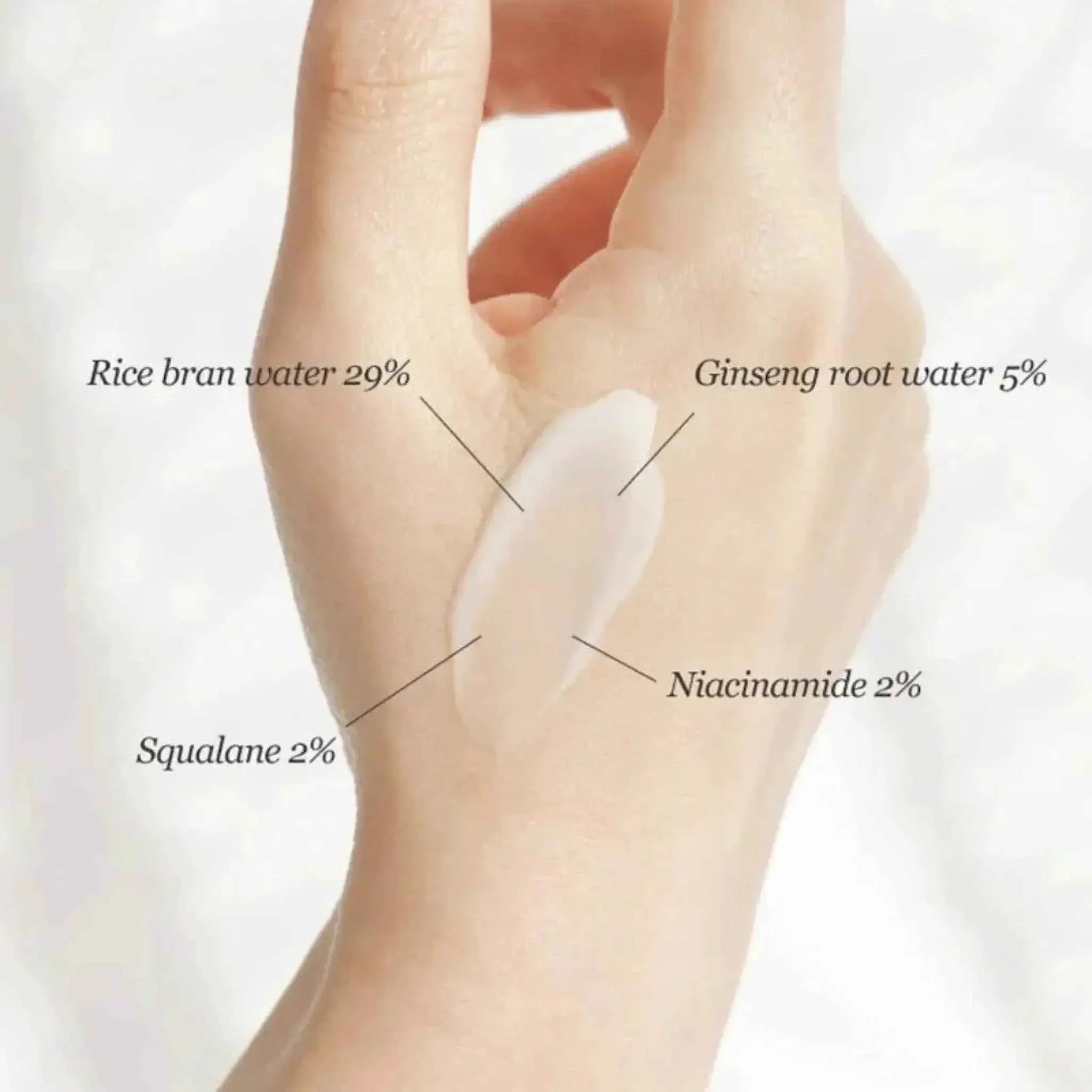 Beauty of Joseon Dynasty Cream – Nourishing Glow - Hydrating Anti-Aging Moisturizer - Beauty of Joseon -- United Arab Emirates -- Pinky Cosmetics