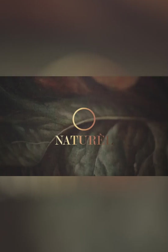 Naturel Lenses Core Ivory - Comfortable Korean Lenses