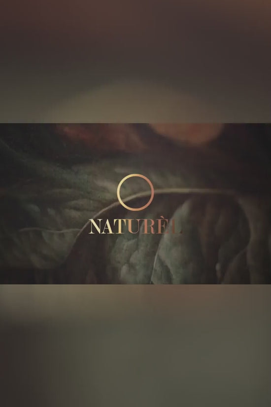 Naturel Lenses Core Marron - Rich Korean Lenses