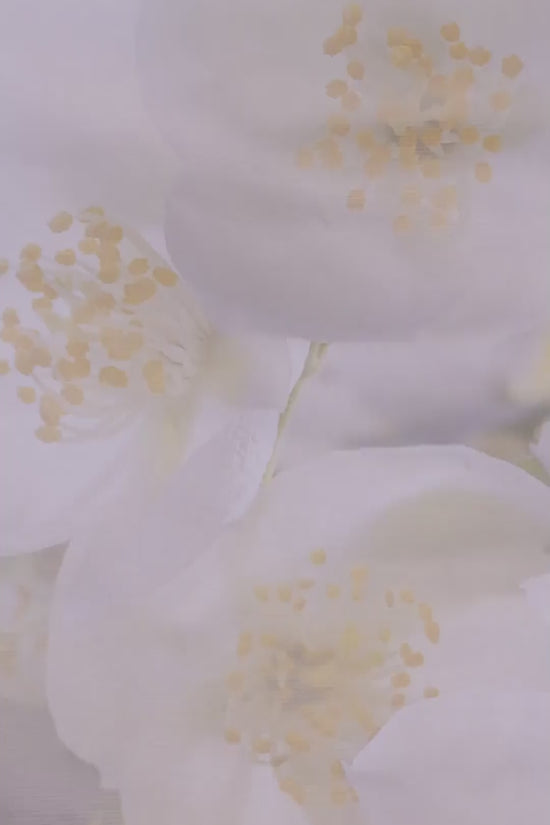 عدسات ناتشرال كور أونيكس - عدسات كورية مكثفة 